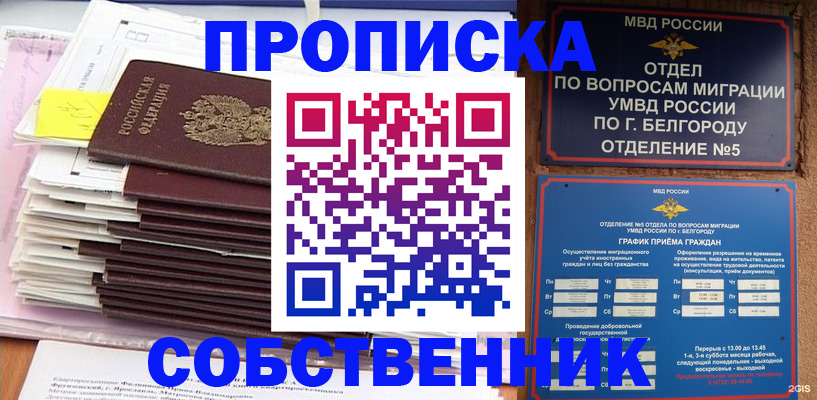 прописка законно в Бавлах